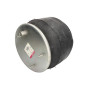 Задня подушка зі склянкою DAF MAGNUM 5002-03-0113P, 0388165, 55836-K01