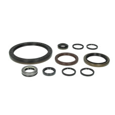 Комплект сальників DAF EURORICAMBI 95534146, 1329624, ZF1315298002