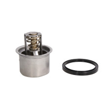Термостат RVI | THERMOTEC | 5010284184, D2RV004TT