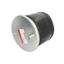 Подушка передня RENAULT |MAGNUM  | 7421978484, 4919NP01, 5002-03-0211P,AG530597K